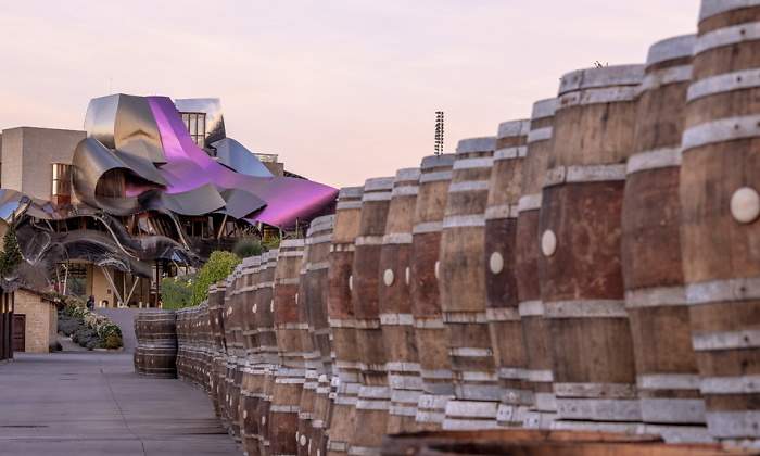vino-marques-de-riscal-1.jpg
