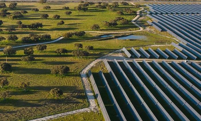 Planta-Talayuela-Solar-Extremadura_Aerea.jpg