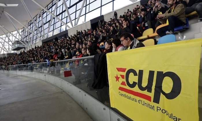 cup-efe.jpg