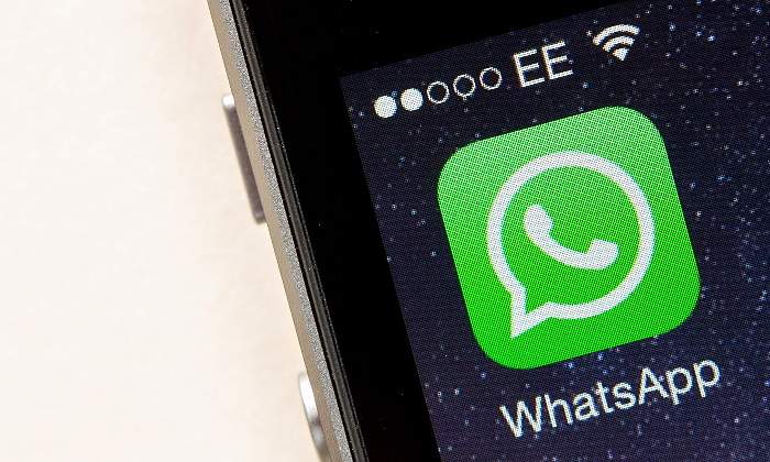 Archivo_Whatsapp.jpg