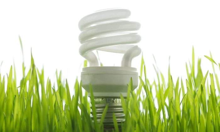 eficiencia-energetica-bombilla-cesped.jpg