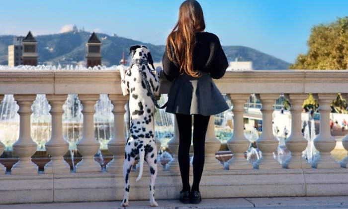 perro-ciudad-770.jpg