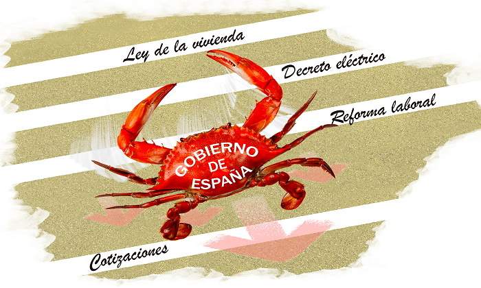 cangrejo-web.jpg