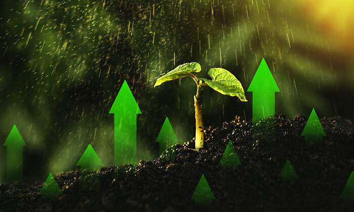 INVERSION-VERDE-istock-770.jpg