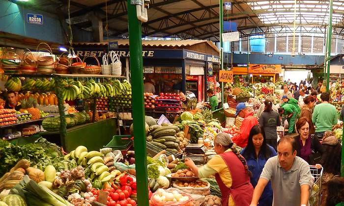 alimentos