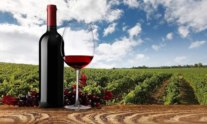 vino-770.jpg