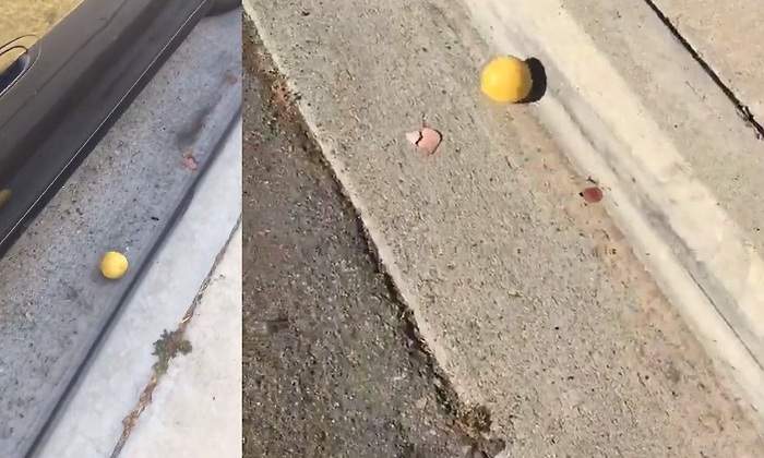 Limon-rodando.jpg