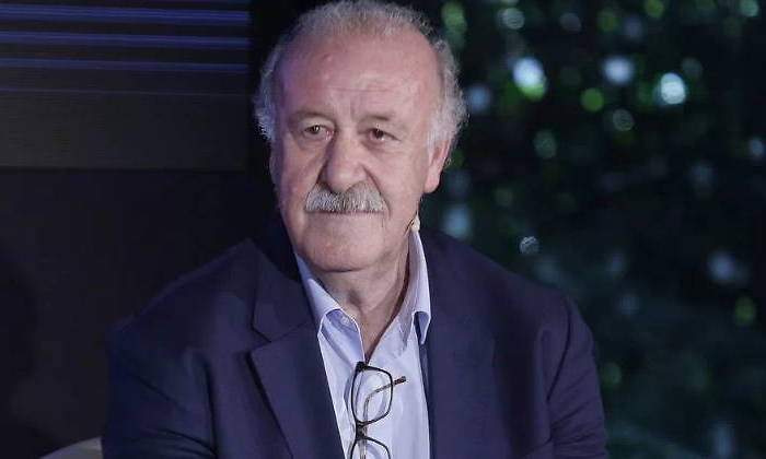 vicente-del-bosque-defiende-gobierno-estopa-770.jpg