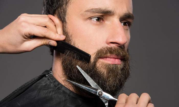 barba-injerto-dreamstime.jpg