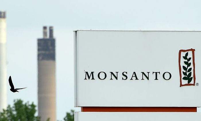 Monsanto-2.jpg