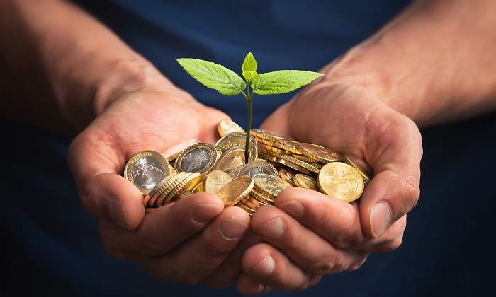 dinero-verde-istock.jpg