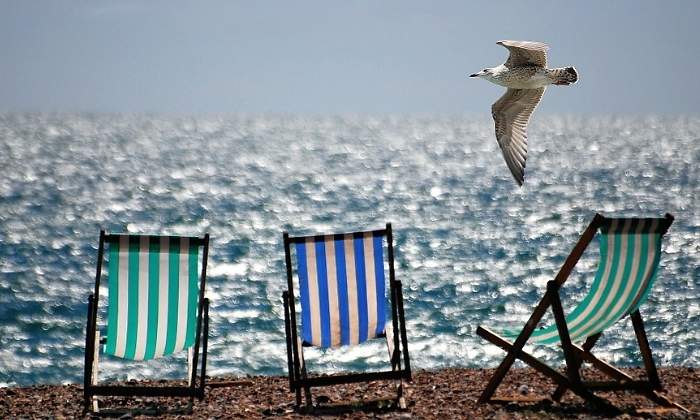 verano-tiempo-playa-gaviota-770x420-pixabay.jpg