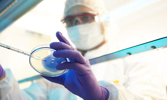 Investigador farmaindustria