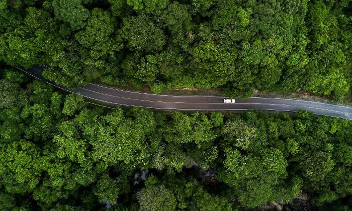 hoja-de-ruta-770-istock.jpg