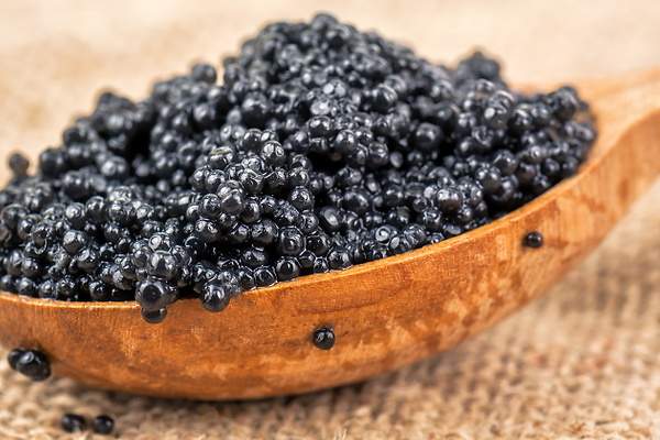 12 curiosidades el caviar, un lujo no decae ni en tiempos de confinamiento