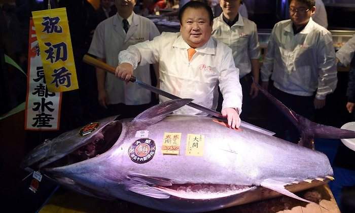 atun-rojo-gigante-japon-efe.jpg