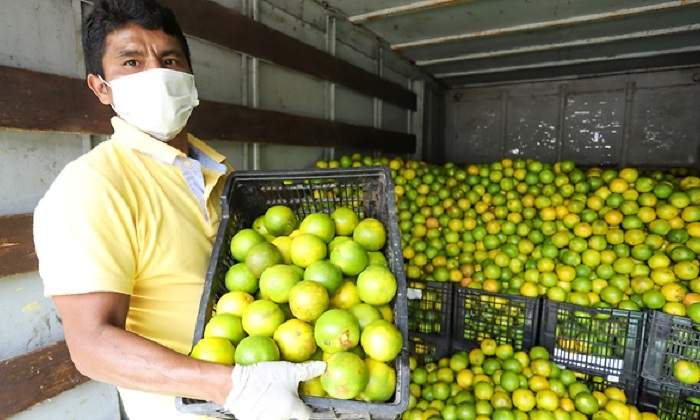 agricultor770.jpg