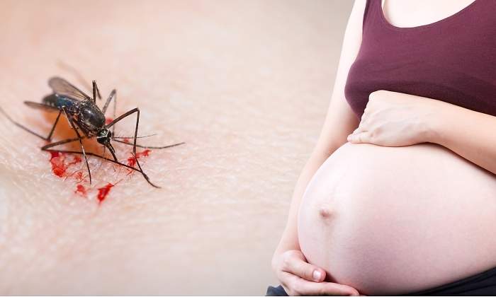 zika-embarazo-dreamstime.jpg
