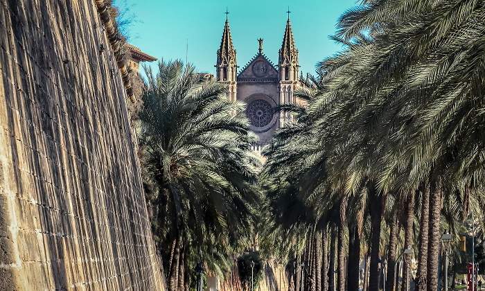 palma-770.jpg