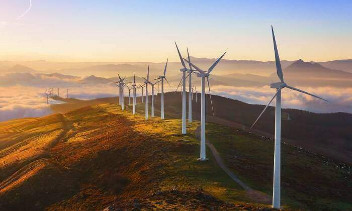 sector-transicion-energetica.jpg