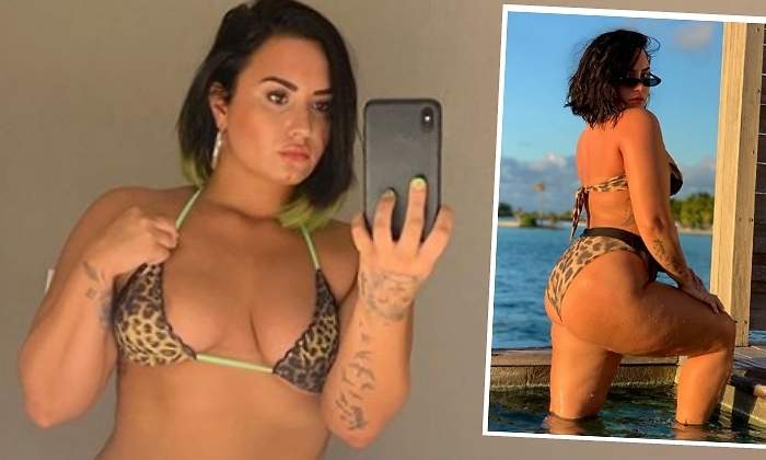 demi-lovato-bikini-ok770.jpg