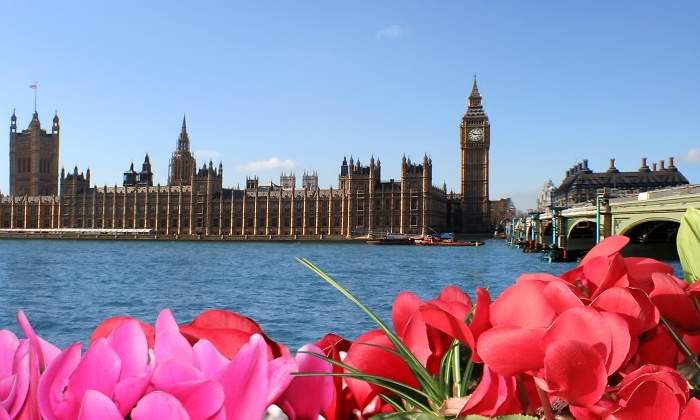 londres-flores-dreamstime.jpg