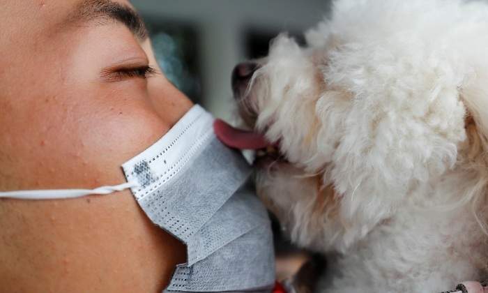 coronavirus-mascota-perro-reuters.jpg