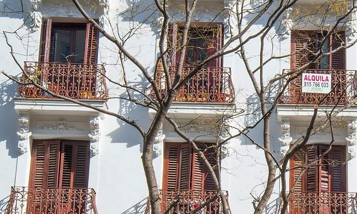 alquila-blanca.jpg
