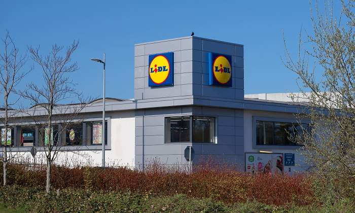 lidl-supermercado-verde-dreamstime.jpg