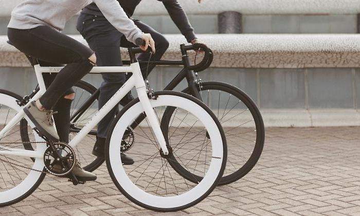 Santafixie-770.jpg