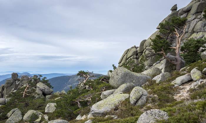 siete-picos.jpg
