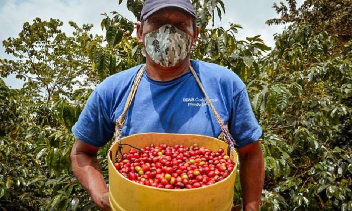 cafeperuano.jpg