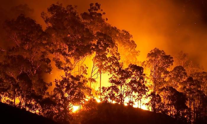 Fuego-incendio-iStock.jpg