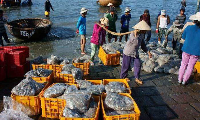 pesca-vietnam-puerto-770-dreamstime.jpg