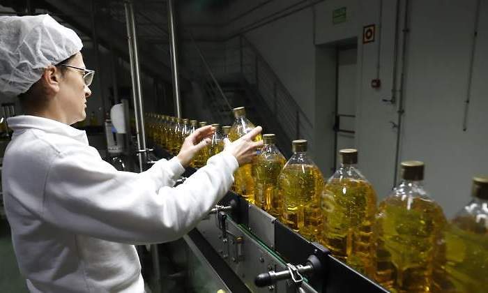 Aceite.jpg