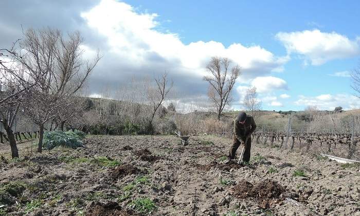 agricultura-ep.jpg