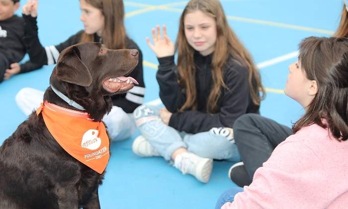 acosoescolarconperros.jpg
