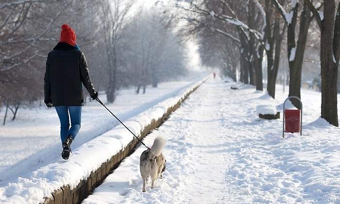 Una-persona-paseando-a-su-perro-por-un-camino-nevado-iStock.jpg