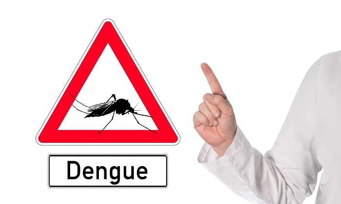 dengue-dreamstime.jpg