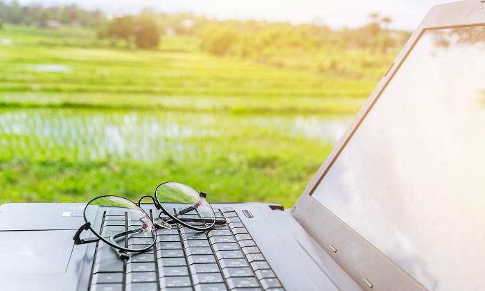 ordenador-gafas-campo-dreamstime.jpg