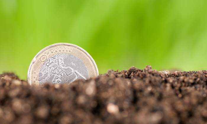euro-moneda-1-truco-neumaticos-dgt-dreamstime.jpg