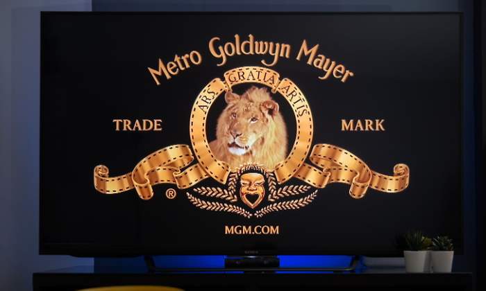 mgm-dreams.jpg