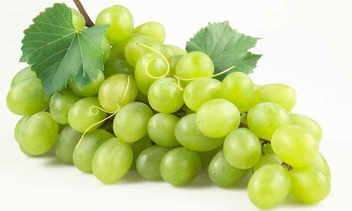 uvas1.jpg
