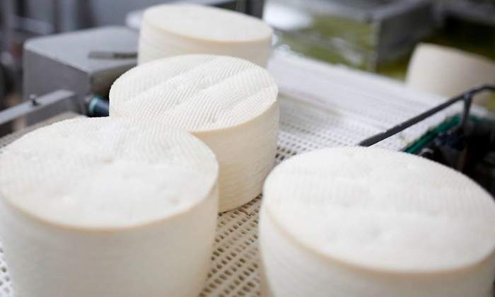 queso-manchego-garcia-baquero-getty-770x420.jpg