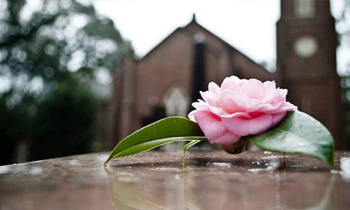 flor-tumba-duelo.jpg