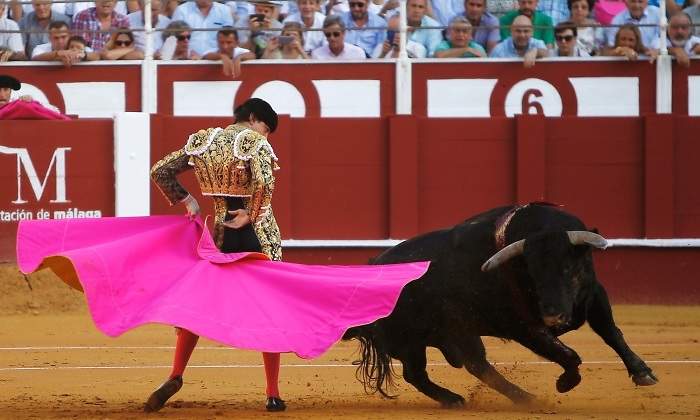 toros-malaga-reuters.jpg