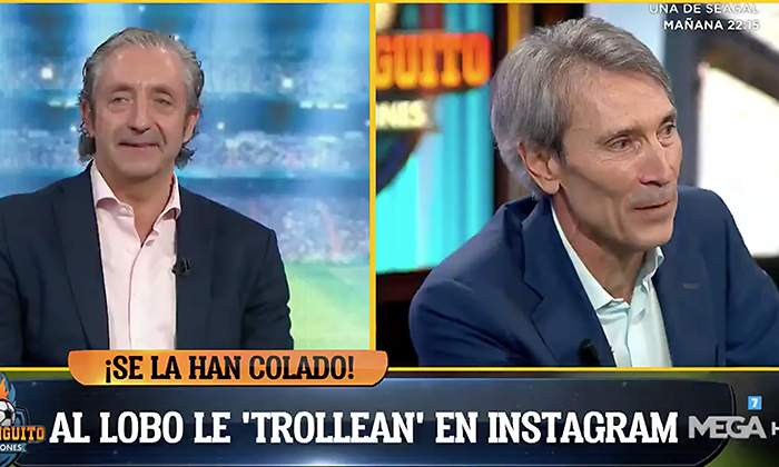 lobo-troleo-pedrerol.jpg