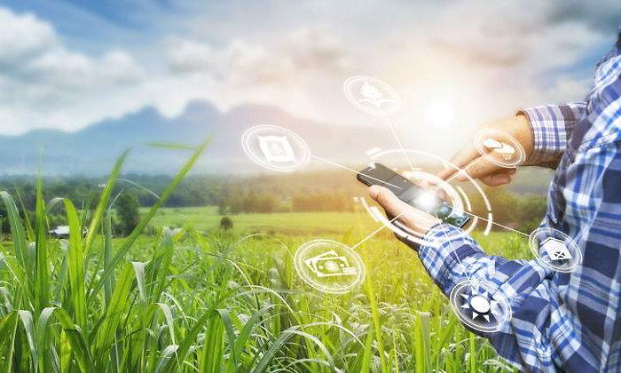 campo-rural-innovacion-movil-770-dreamstime.jpg
