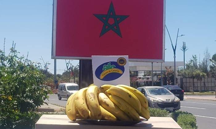 canarias-platanos.jpg