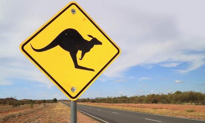 australia-senal-canguro.jpg